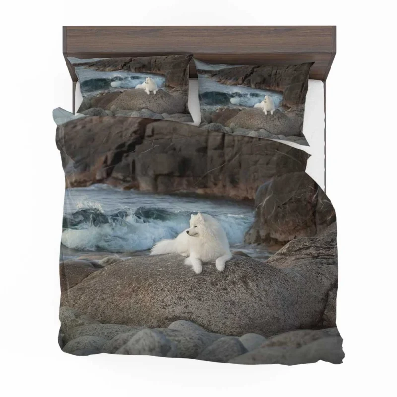 Fourfold Samoyed: Samoyed Quartet Bedding Set 1