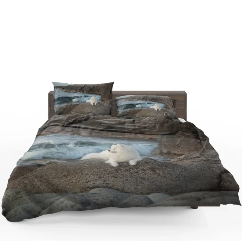 Fourfold Samoyed: Samoyed Quartet Bedding Set