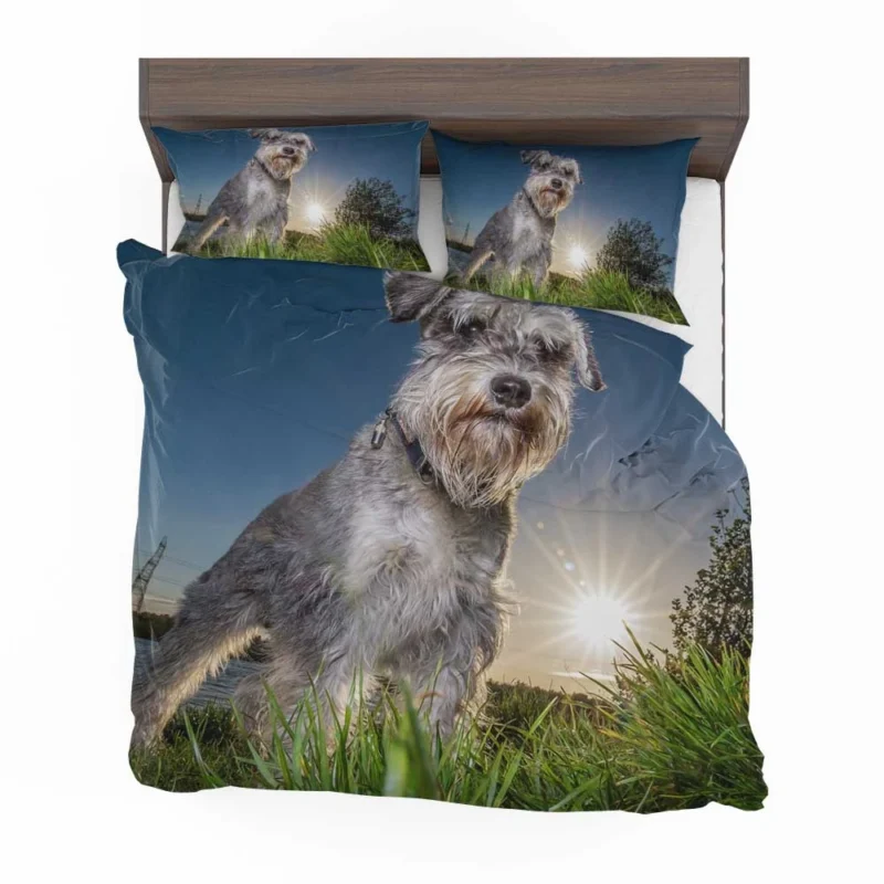 Fourfold Schnauzer Elegance: Schnauzer Quartet Bedding Set 1