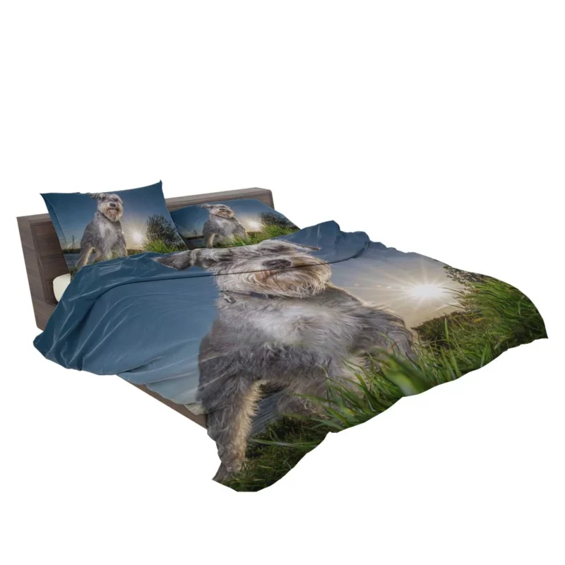 Fourfold Schnauzer Elegance: Schnauzer Quartet Bedding Set 2