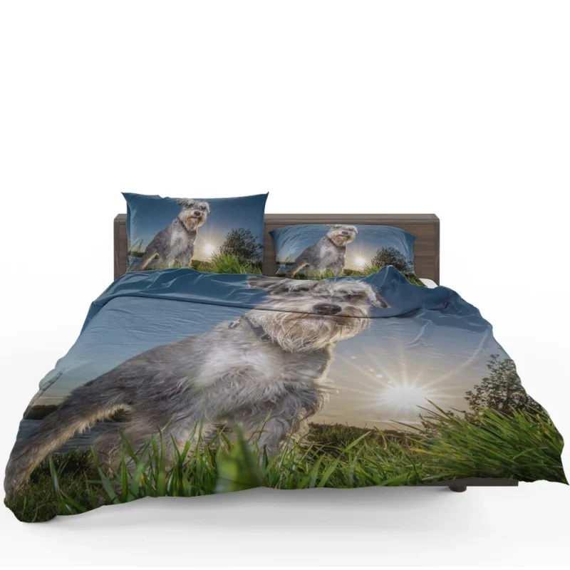 Fourfold Schnauzer Elegance: Schnauzer Quartet Bedding Set