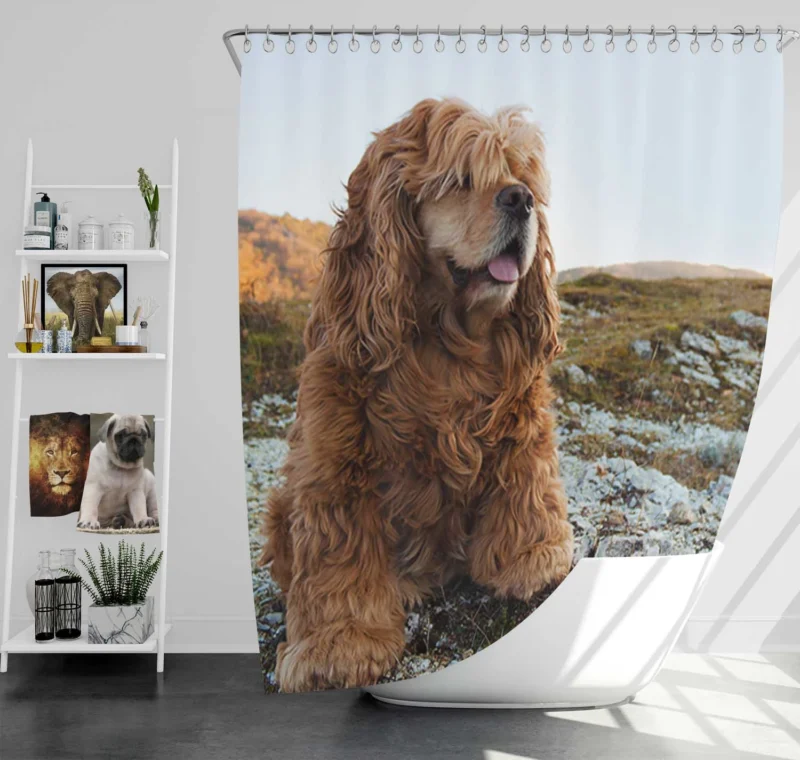 Fourfold Spaniel Beauty: Cocker Spaniel Quartet Shower Curtain