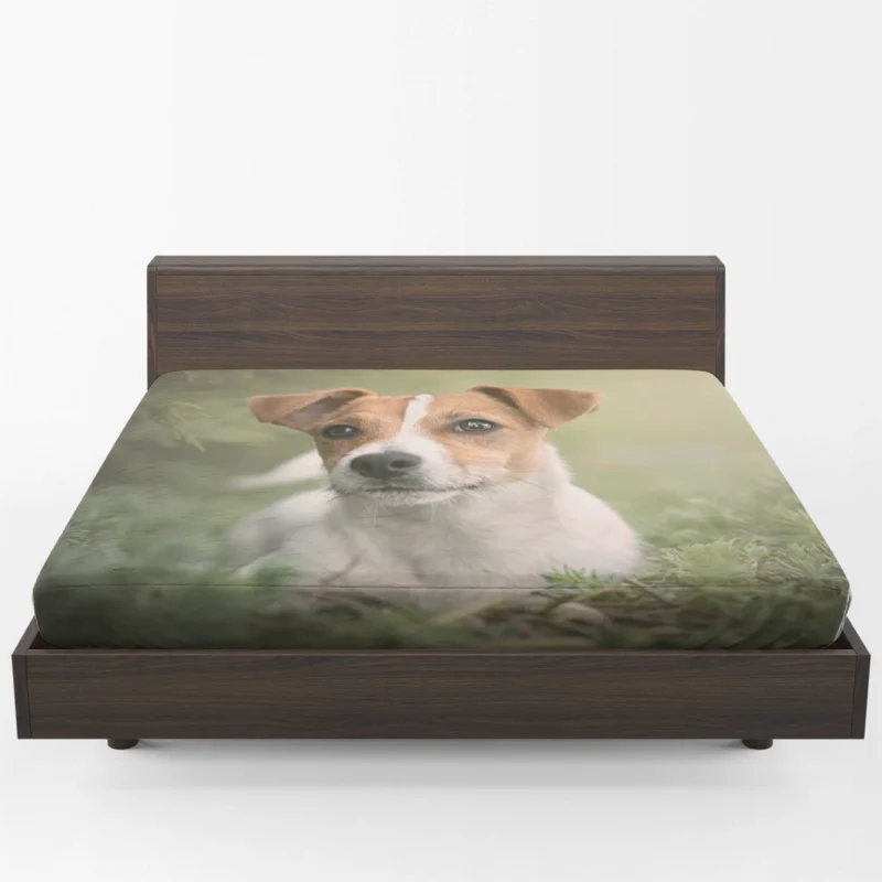 Fourfold Terrier Charm: Jack Russell Terriers Fitted Sheet 1