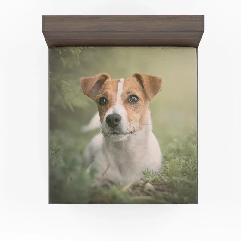 Fourfold Terrier Charm: Jack Russell Terriers Fitted Sheet