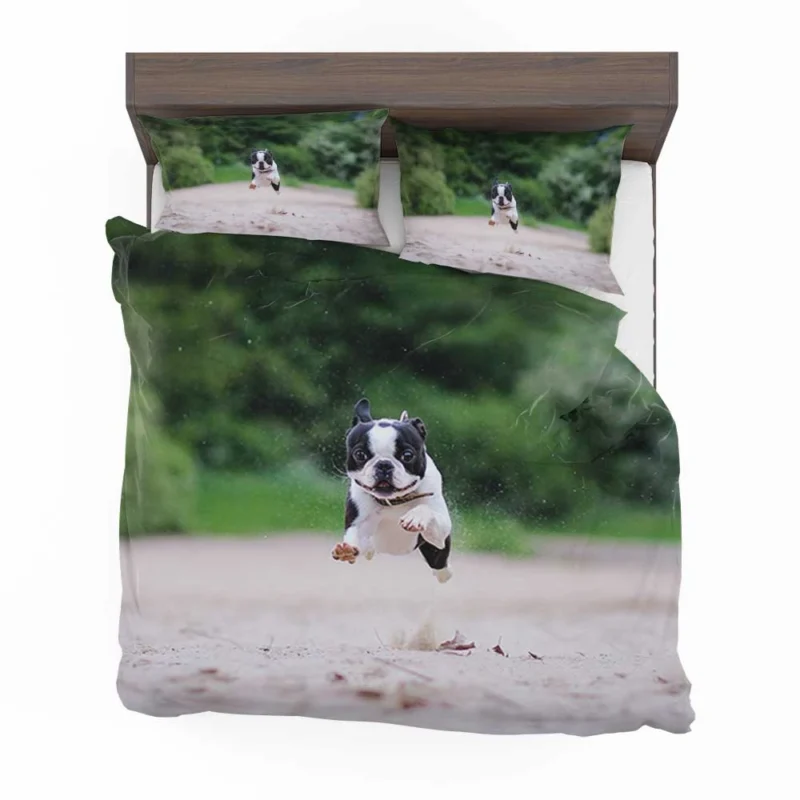 French Bulldog Allure: A Breed Like No Other Bedding Set 1