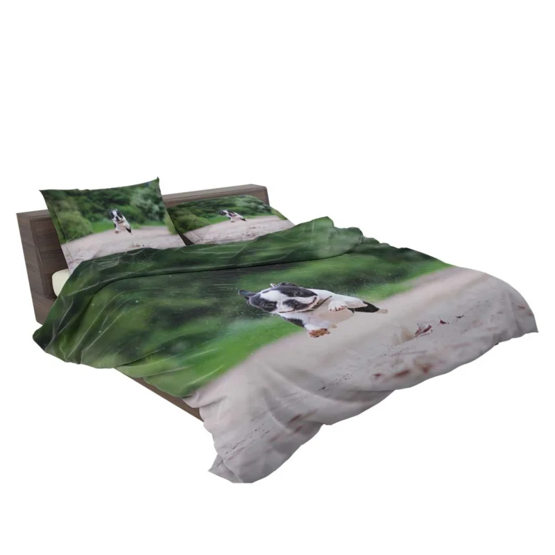 French Bulldog Allure: A Breed Like No Other Bedding Set 2