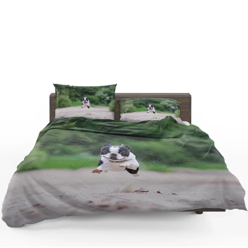 French Bulldog Allure: A Breed Like No Other Bedding Set