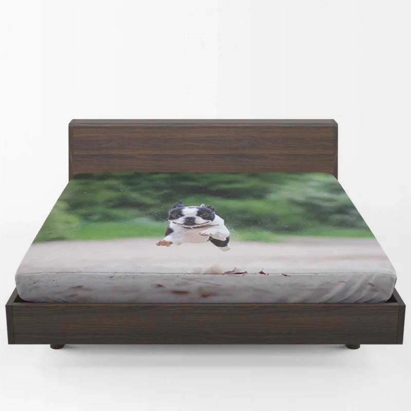 French Bulldog Allure: A Breed Like No Other Fitted Sheet 1