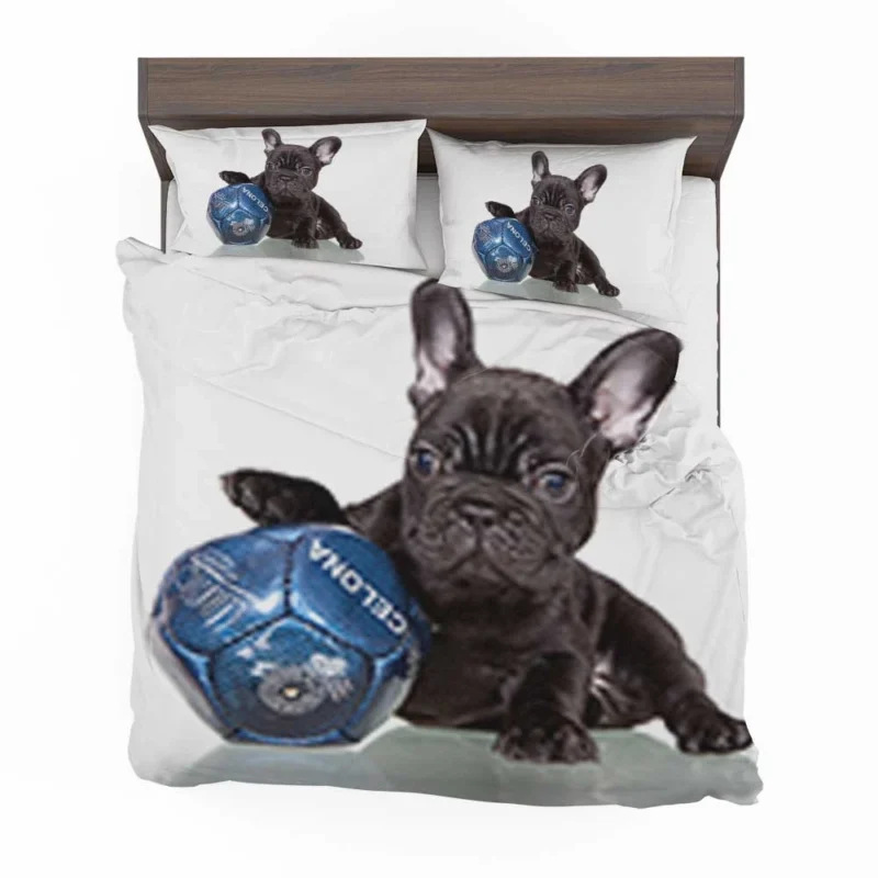 French Bulldog Ball Play: Muzzle and Puppy Fun Bedding Set 1