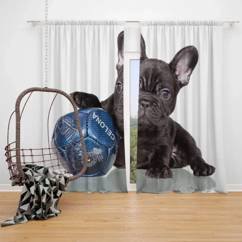 French Bulldog Ball Play: Muzzle and Puppy Fun Window Curtain