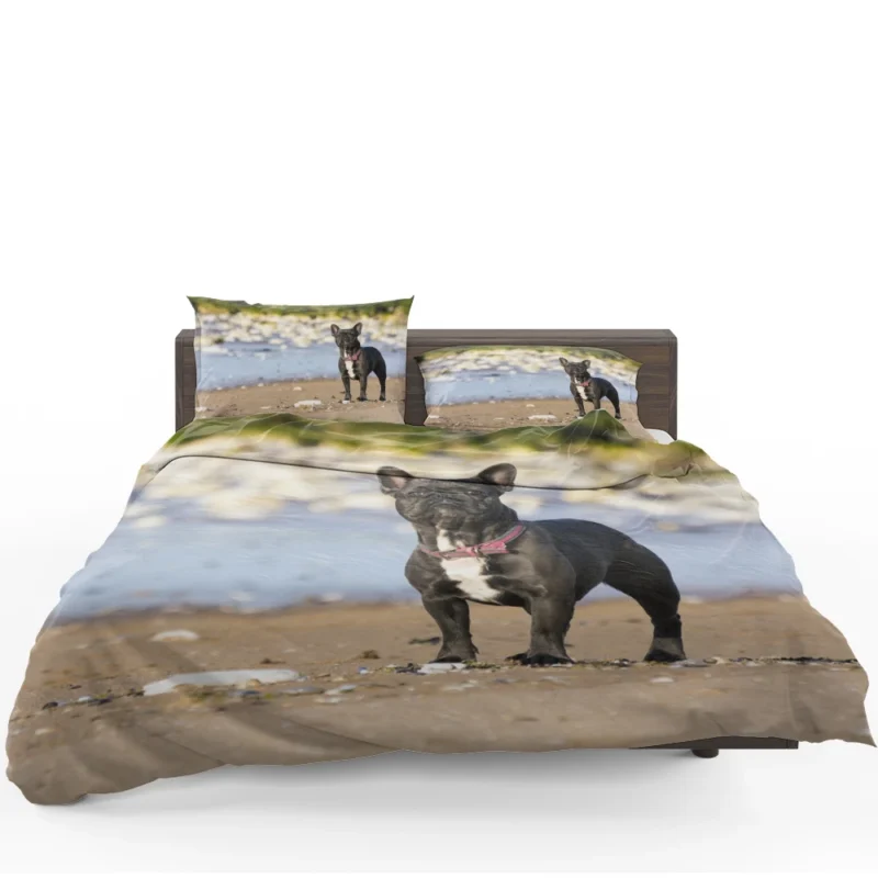 French Bulldog Bliss: Breathing Life into Stillness Bedding Set