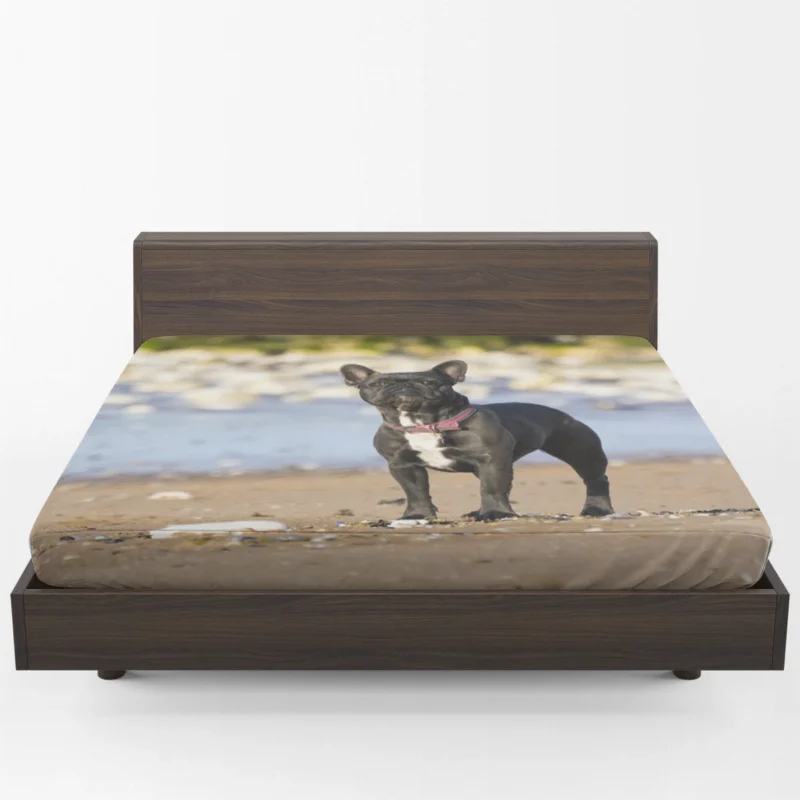 French Bulldog Bliss: Breathing Life into Stillness Fitted Sheet 1