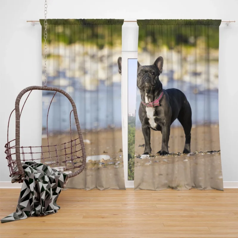 French Bulldog Bliss: Breathing Life into Stillness Window Curtain