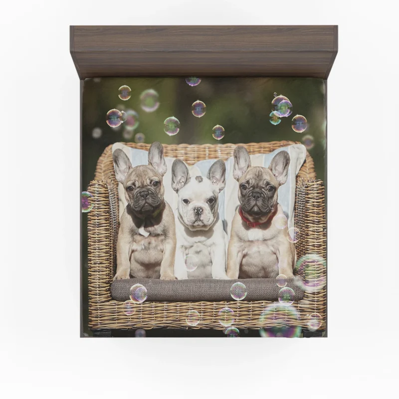 French Bulldog Bubble Bliss: Cute Puppy Play Fitted Sheet