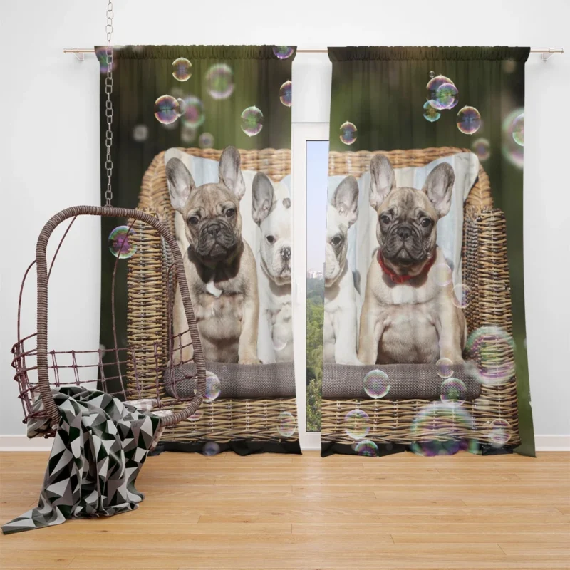 French Bulldog Bubble Bliss: Cute Puppy Play Window Curtain