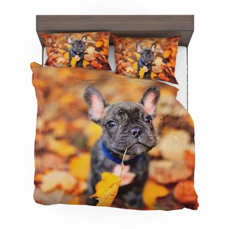 French Bulldog Charisma: A Portrait of Perfection Bedding Set 1