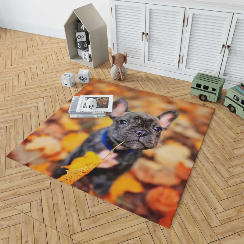 French Bulldog Charisma: A Portrait of Perfection Floor Rug 1