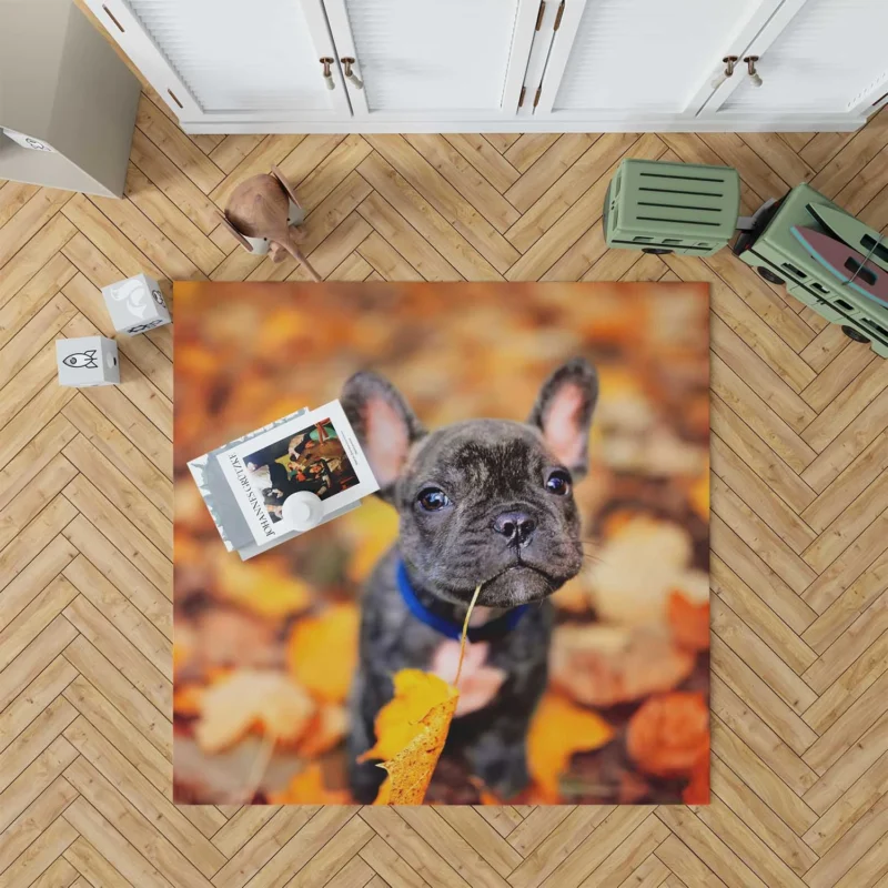 French Bulldog Charisma: A Portrait of Perfection Floor Rug