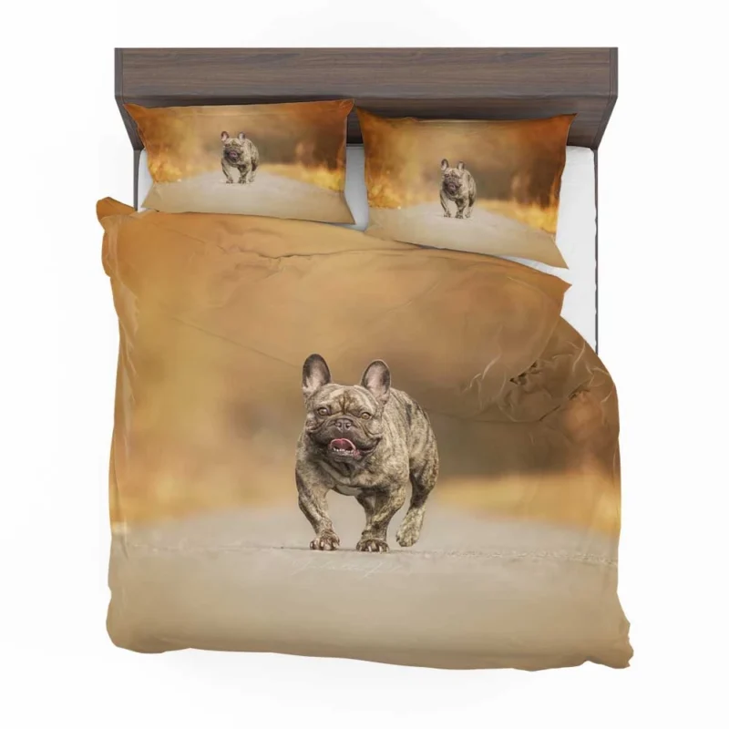 French Bulldog Depth Of Field: Unveiling Hidden Beauty Bedding Set 1