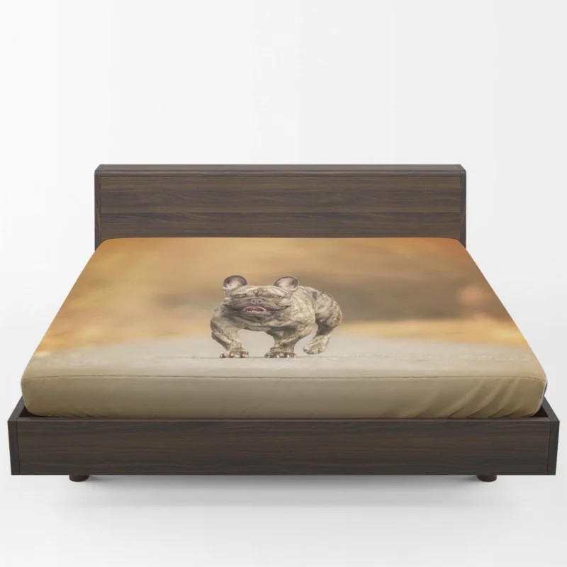 French Bulldog Depth Of Field: Unveiling Hidden Beauty Fitted Sheet 1