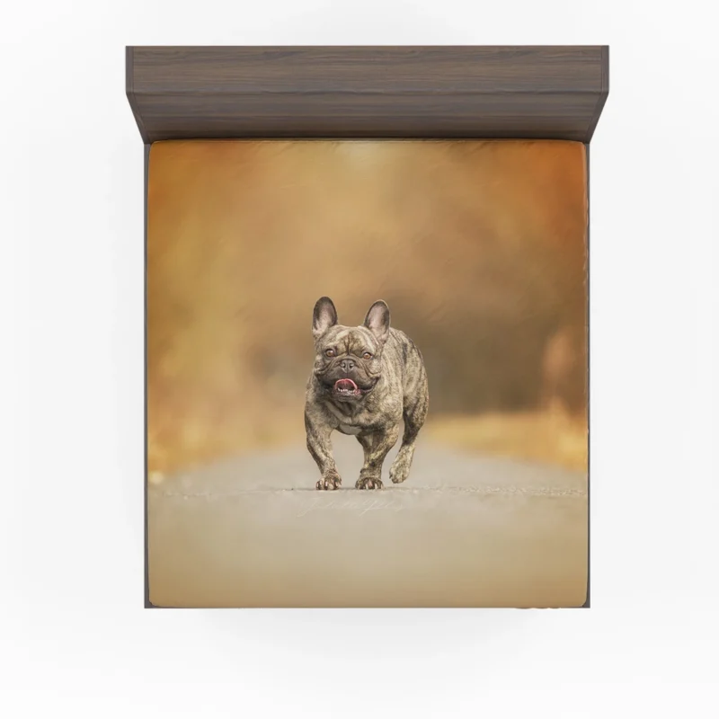 French Bulldog Depth Of Field: Unveiling Hidden Beauty Fitted Sheet