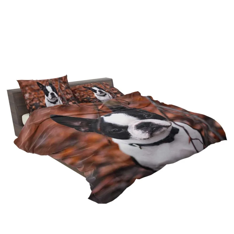 French Bulldog Dreams: In the World of Whimsy Bedding Set 2