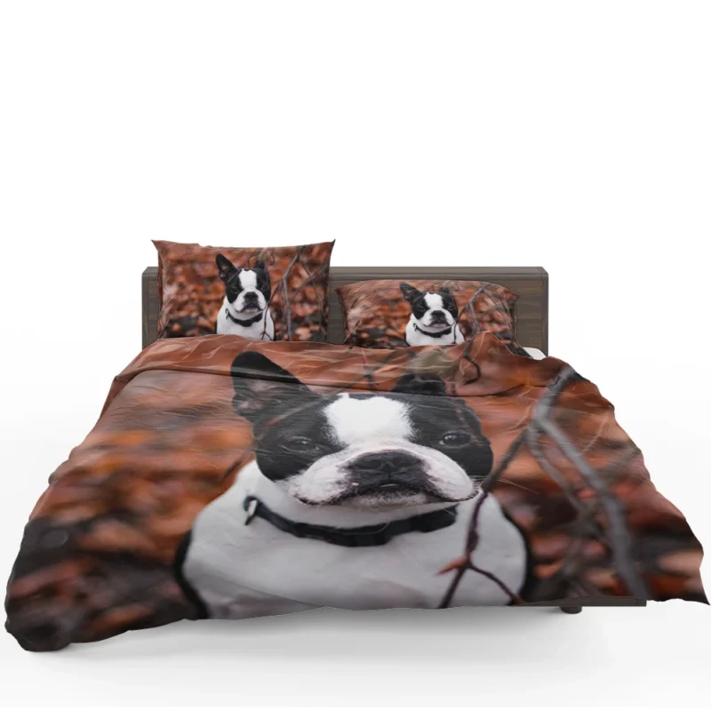 French Bulldog Dreams: In the World of Whimsy Bedding Set