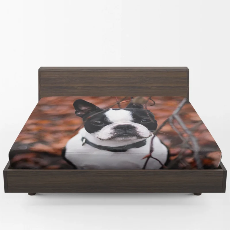 French Bulldog Dreams: In the World of Whimsy Fitted Sheet 1