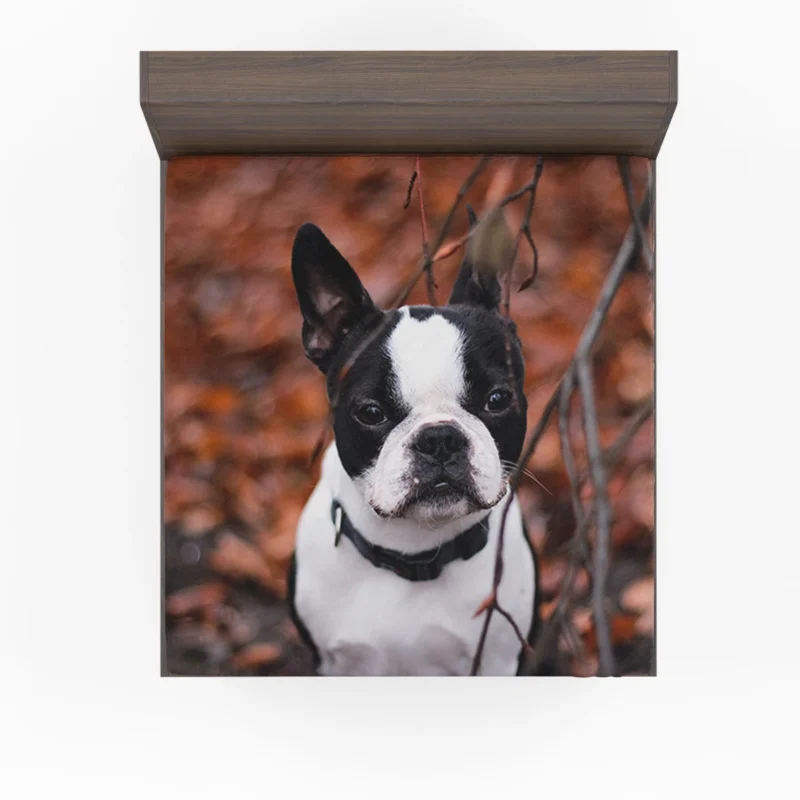 French Bulldog Dreams: In the World of Whimsy Fitted Sheet