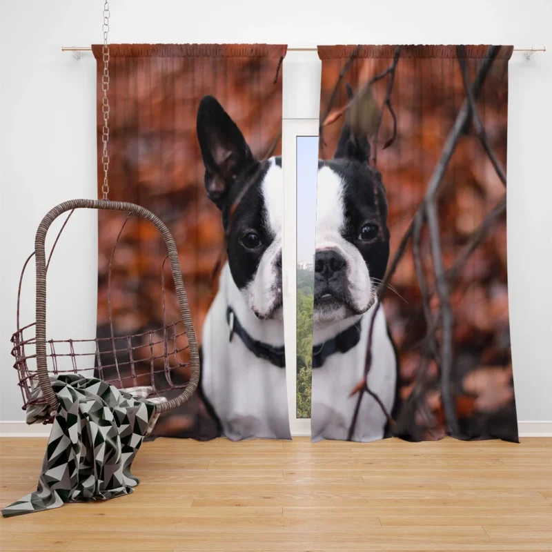 French Bulldog Dreams: In the World of Whimsy Window Curtain