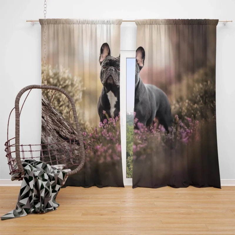 French Bulldog Enchantment: Forest Adventure Window Curtain