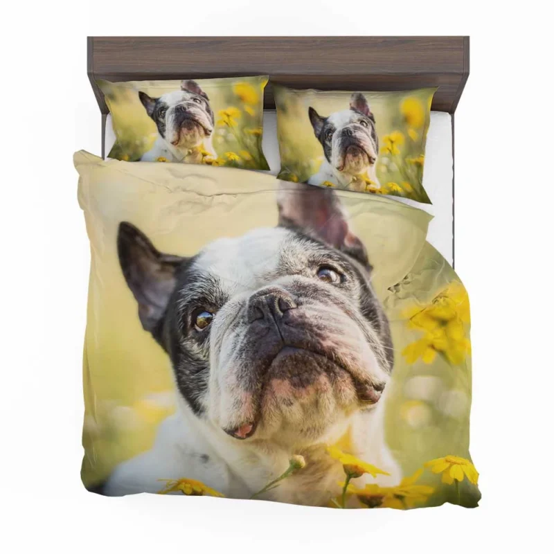 French Bulldog Essence: A Captivating Breed Bedding Set 1