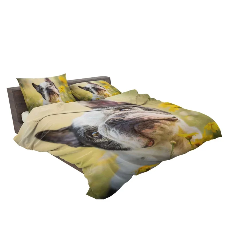 French Bulldog Essence: A Captivating Breed Bedding Set 2