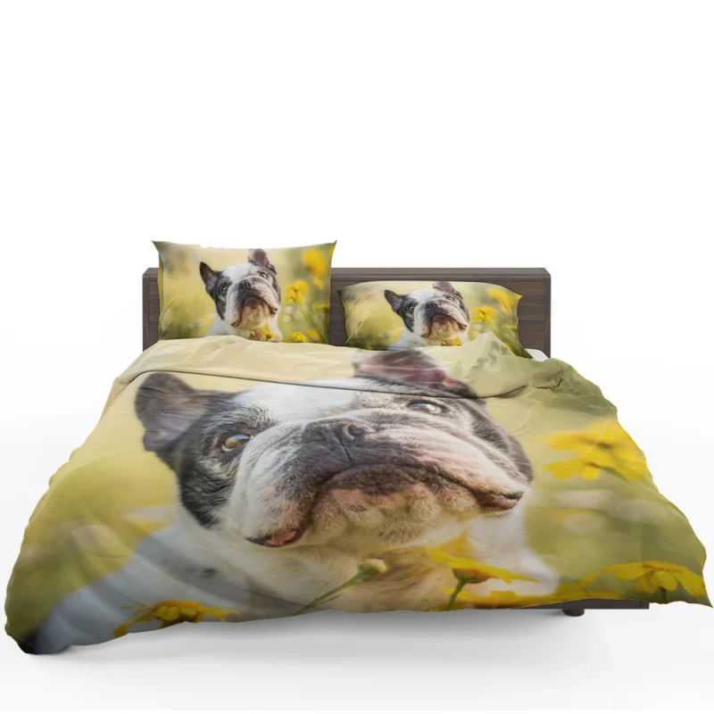 French Bulldog Essence: A Captivating Breed Bedding Set