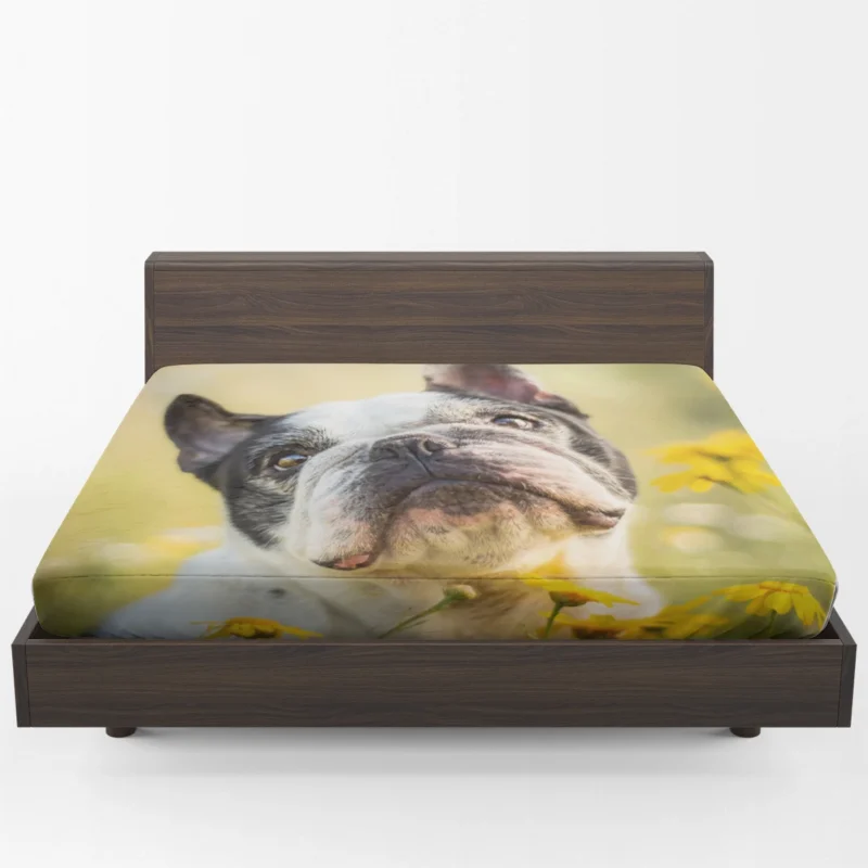 French Bulldog Essence: A Captivating Breed Fitted Sheet 1