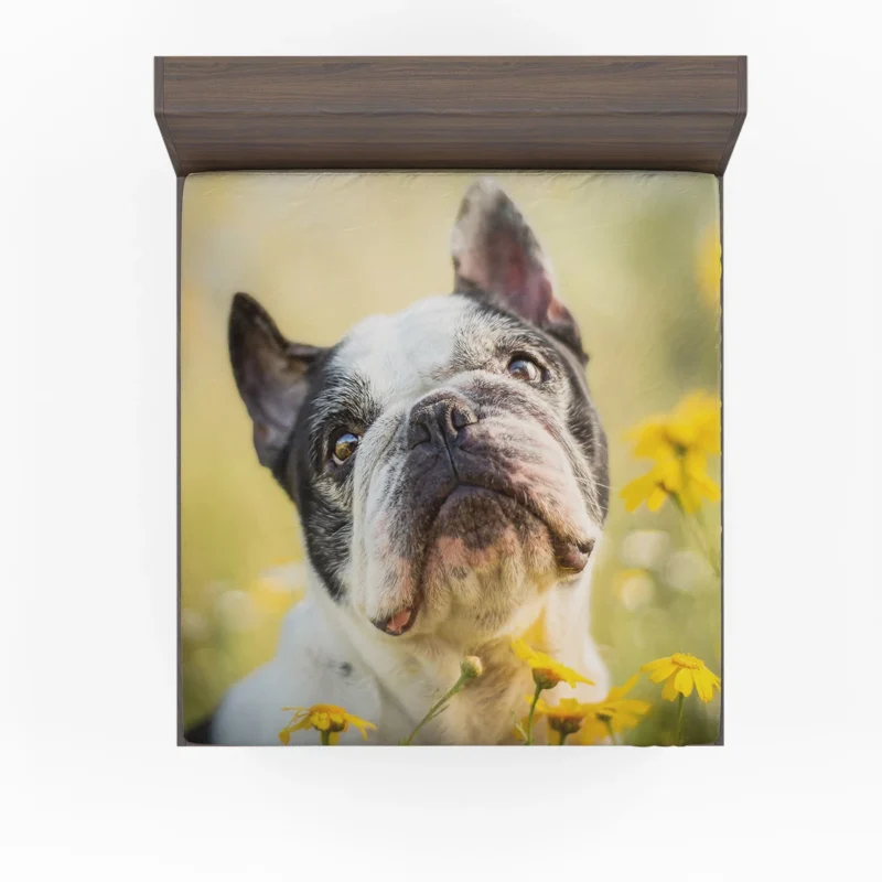 French Bulldog Essence: A Captivating Breed Fitted Sheet