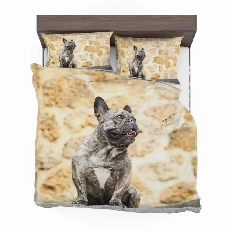 French Bulldog Euphoria: Where Every Moment Shines Bedding Set 1