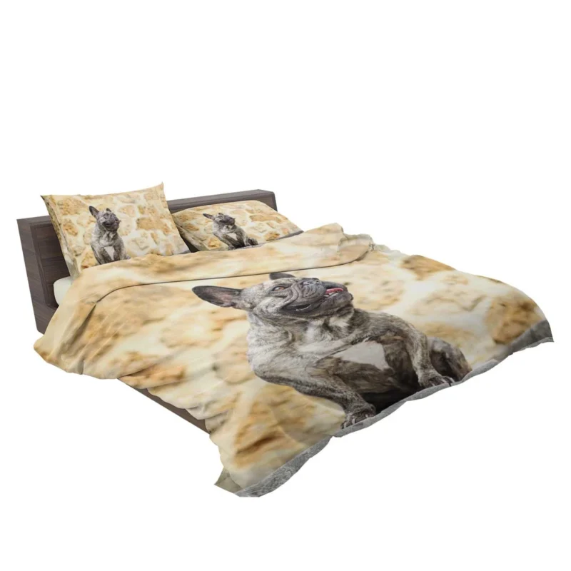 French Bulldog Euphoria: Where Every Moment Shines Bedding Set 2