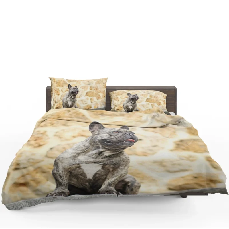 French Bulldog Euphoria: Where Every Moment Shines Bedding Set