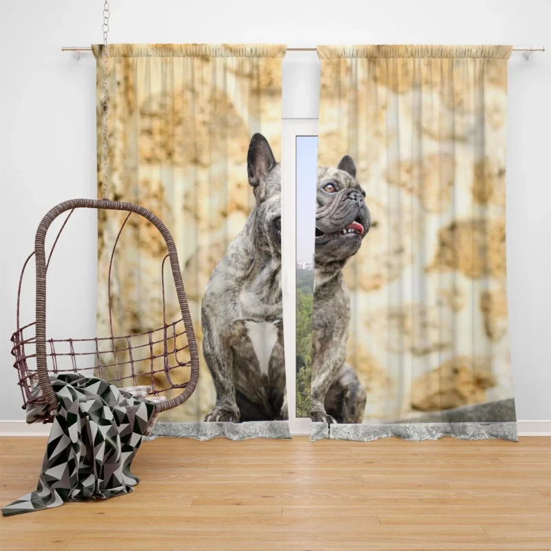 French Bulldog Euphoria: Where Every Moment Shines Window Curtain