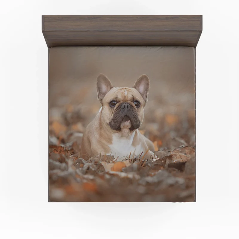 French Bulldog Fall Fantasy: Leaves in the Air Fitted Sheet