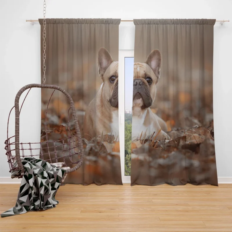 French Bulldog Fall Fantasy: Leaves in the Air Window Curtain