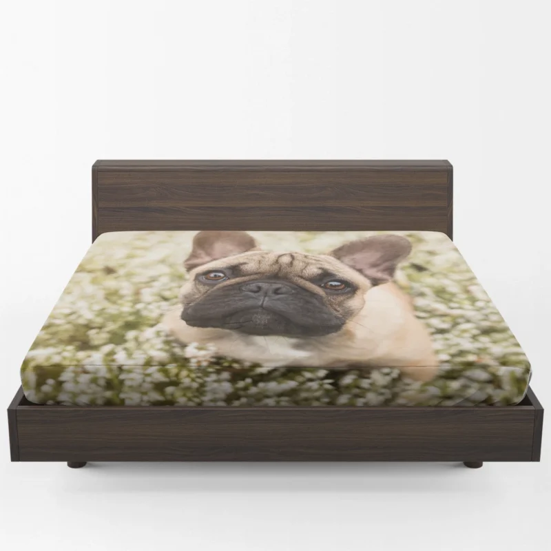 French Bulldog Floral Serenity: Among White Blooms Fitted Sheet 1