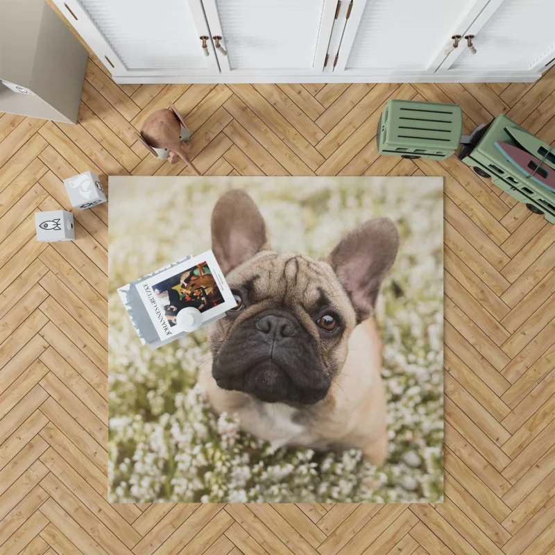 French Bulldog Floral Serenity: Among White Blooms Floor Rug