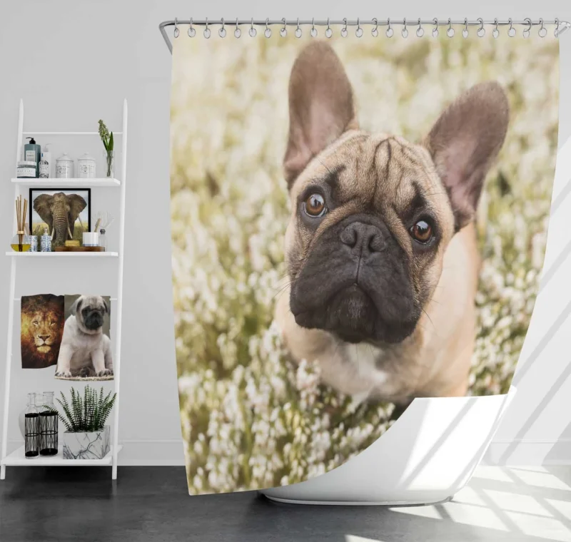 French Bulldog Floral Serenity: Among White Blooms Shower Curtain