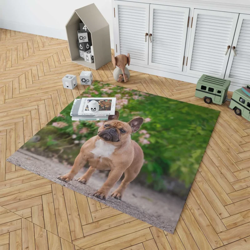 French Bulldog Hat and Puppy: A Duo of Delight Floor Rug 1