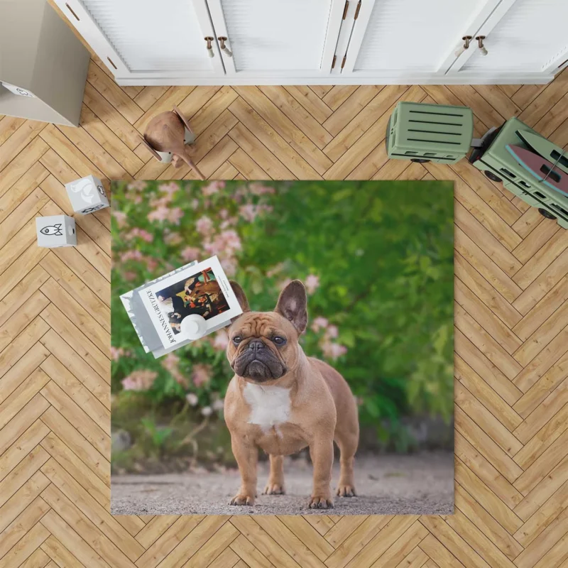 French Bulldog Hat and Puppy: A Duo of Delight Floor Rug