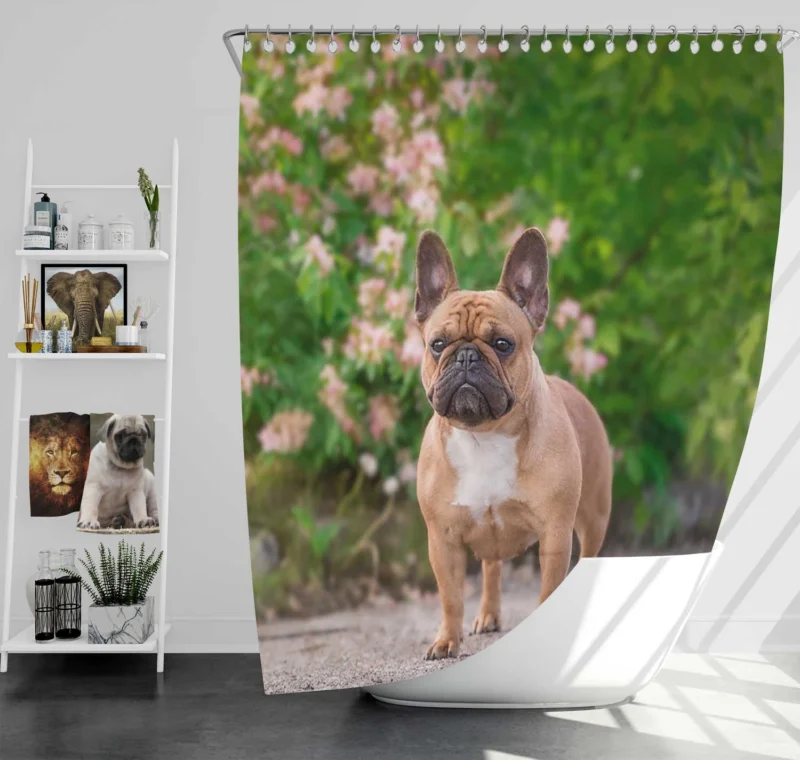 French Bulldog Hat and Puppy: A Duo of Delight Shower Curtain