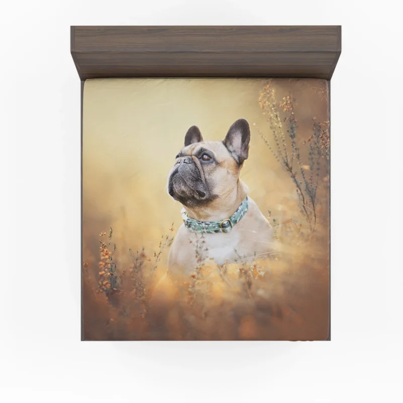 French Bulldog Journey in Breeds Fitted Sheet