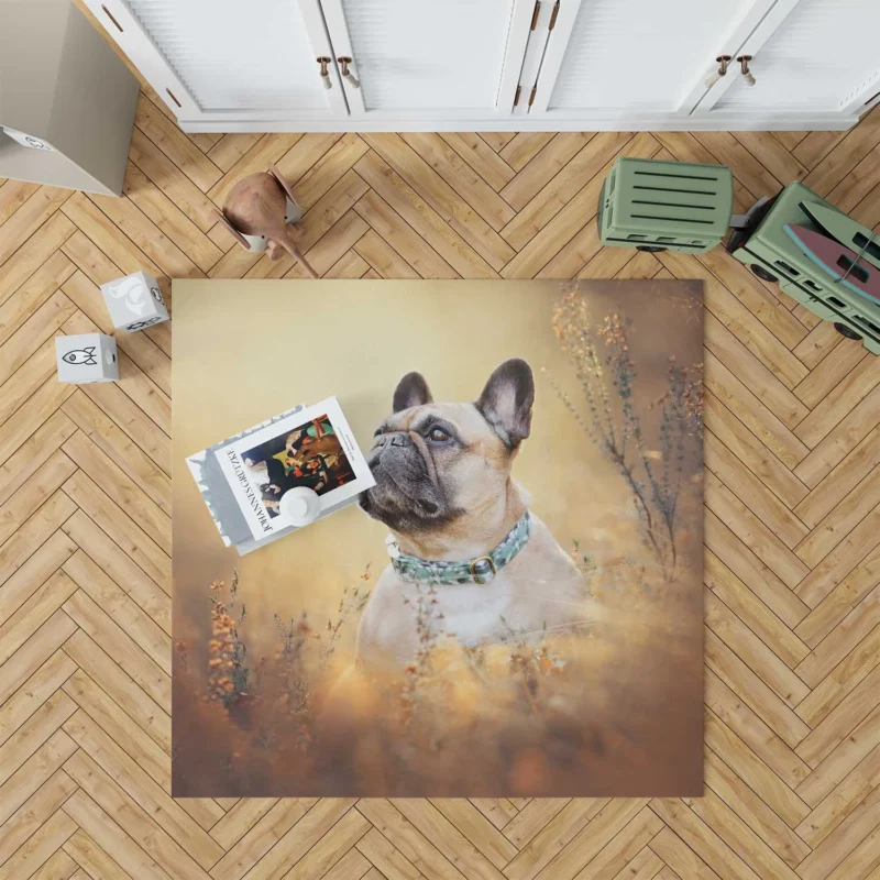 French Bulldog Journey in Breeds Floor Rug